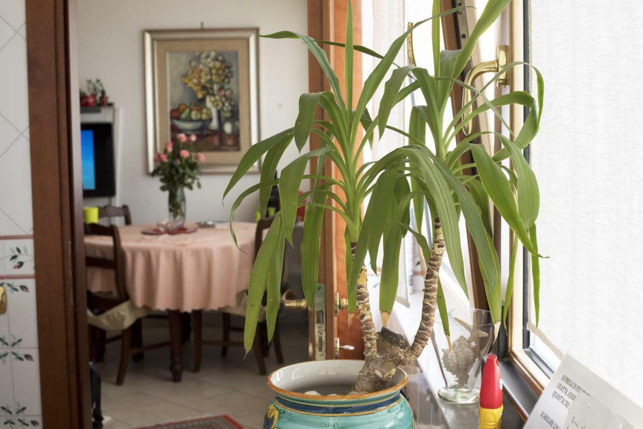 B&B Silvana Salerno Exteriör bild